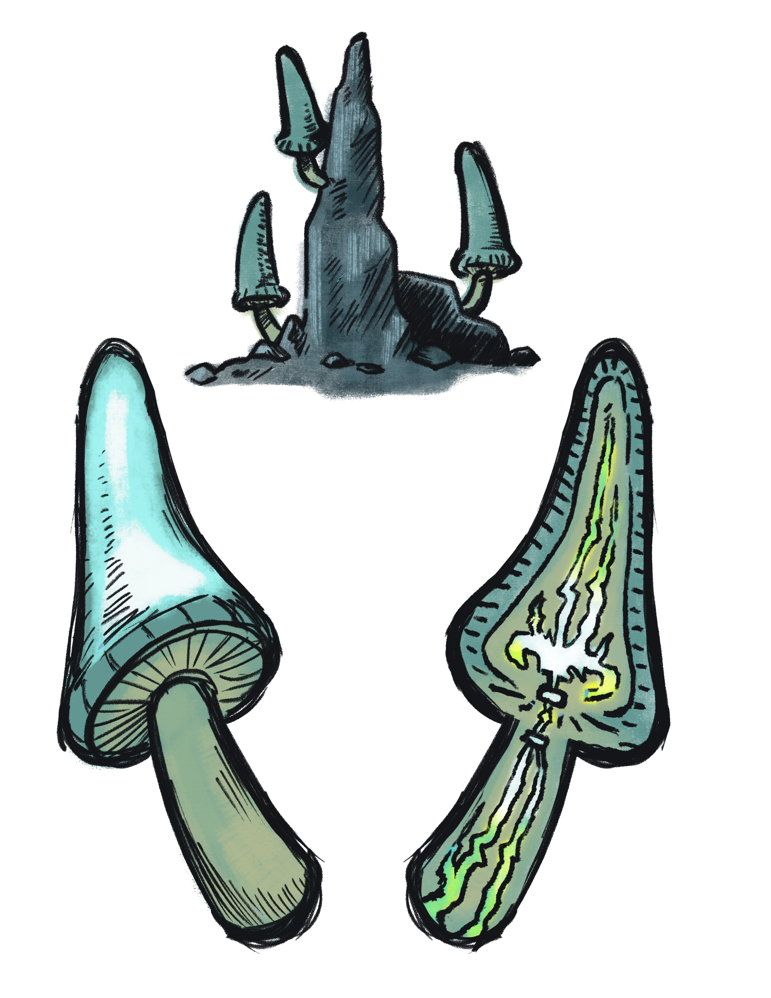 description of image