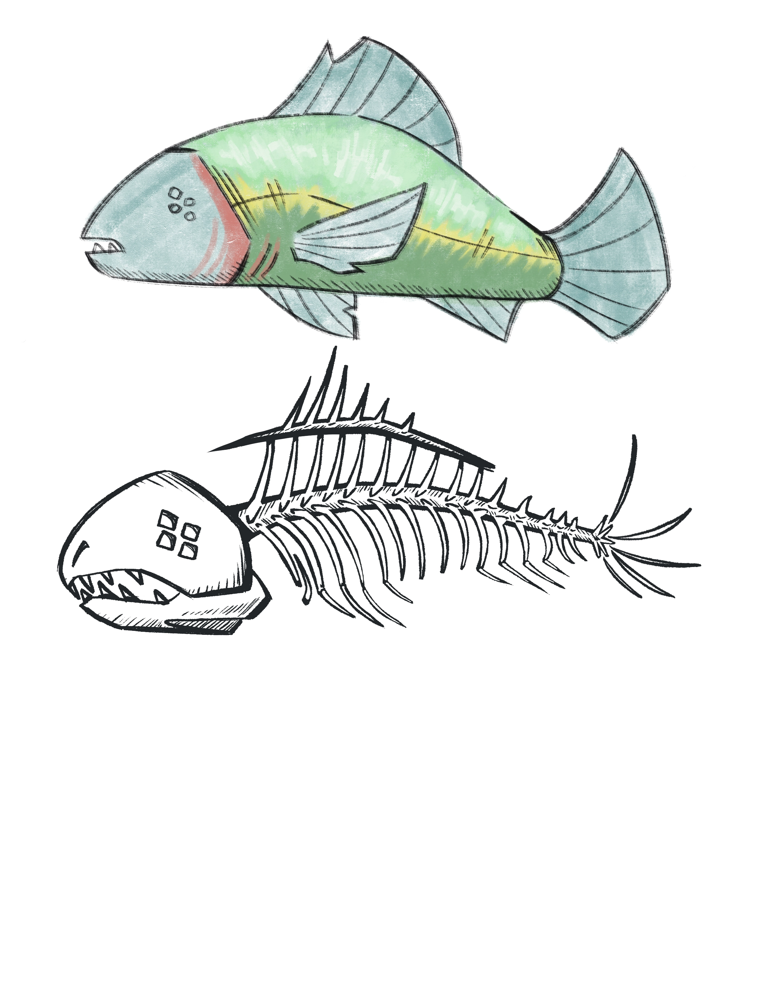 description of image